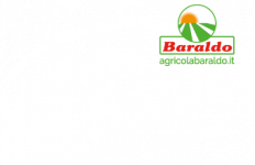 ladispensadipatrizia-w